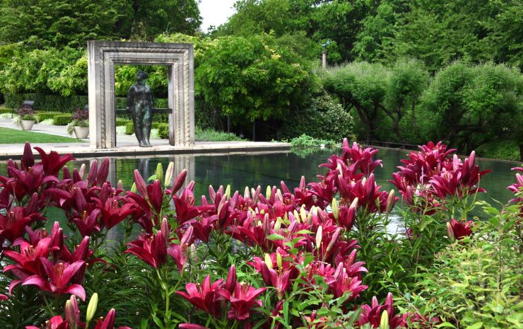 Dallas Arboretum and Botanical Garden 2