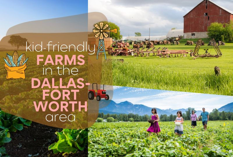 farms kids dallas