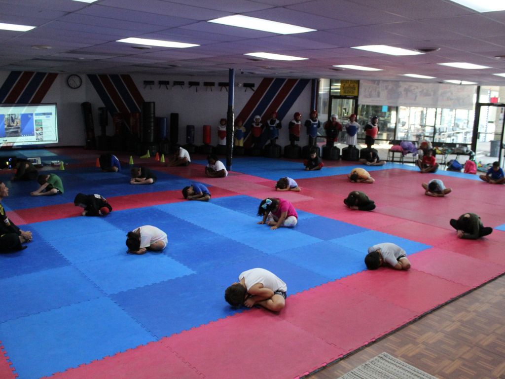 Olympic Star Taekwondo Center 1